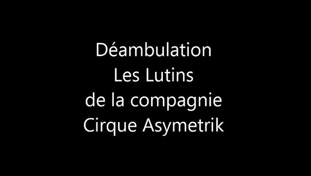 les lutins de la Compagnie Cirque Asymetrik