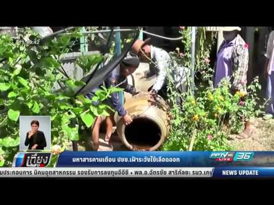 มหาสารคามเตือน ปชช.เฝ้าระวังไข้เลือดออก - เที่ย...