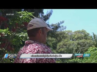 WORLD DIGEST: เพิ่มพลังเซลล์ภูมิคุ้มกันต่อสู้มะเร็ง - รอบวันทันโลก