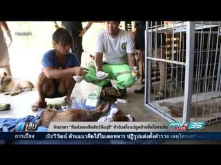 จิตอาสา ทีมช่วยเหลือสัตว์มีนบุรี ทำด้วยใจแต่ถูกอ้างชื่อไปหาเงิน - เข้มข่าวค่ำ