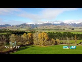 Bird's Eye View - แอร์โรว์ทาวน์ เมืองแห่งประวัติศาสตร์ (1/3)