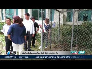 เร่งทำหมันลิงเขาตะเกียบ ตั้งเป้าไม่ต่ำกว่า 500 ตัว - เข้มข่าวค่ำ