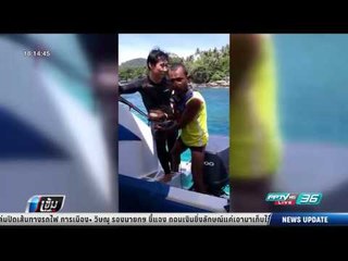 ชาวภูเก็ตต้านไกด์เกาหลีใต้พา นทท.ให้อาหารปลาใต้ทะเล - เข้มข่าวค่ำ