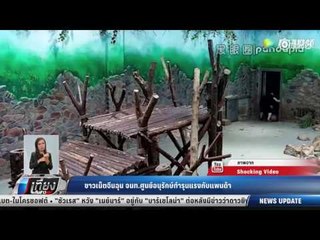 ชาวเน็ตจีนฉุน จนท.ศูนย์อนุรักษ์รุนแรงกับเเพนด้า - เที่ยงทันข่าว