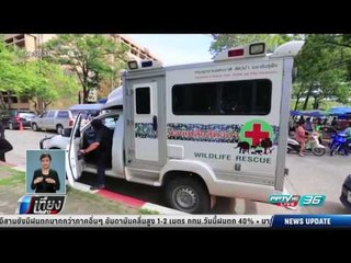 ลิงอ้วนน้ำหนักลด 2.2 กก. กรมอุทยานฯพากลับบ้าน - เที่ยงทันข่าว