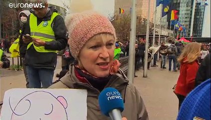 Διαδήλωση για το κλίμα στις Βρυξέλλες