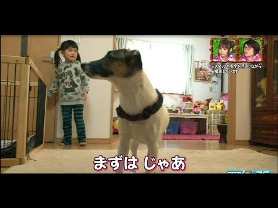PET PARADE ก๊วน ชวน ยิ้ม - เมื่อเด็กน้อยทั้ง2ต้...