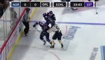 ECHL Norfolk Admirals 2 at Orlando Solar Bears 1