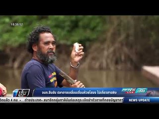 จนท.ยืนยัน ปลาตายเกลื่อนเขื่อนห้วยโสมง ไม่เกี่ยวสารพิษ - เข้มข่าวค่ำ