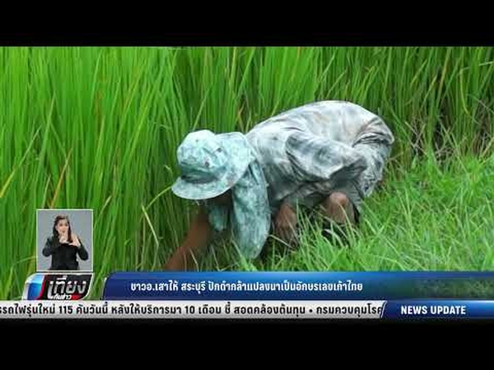 ชาว อ.เสาไห้ สระบุรี ปักดำกล้าแปลงนาเป็นอักษรเล...