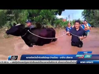 หลายจังหวัดน้ำท่วมยังวิกฤต บ้านเรือน –นาข้าว เสียหาย - เข้มข่าวค่ำ