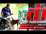 ล่าข้อกังขา ตอน ไล่ฆ่าหมาจร | ล่า EP.166 (2/4)