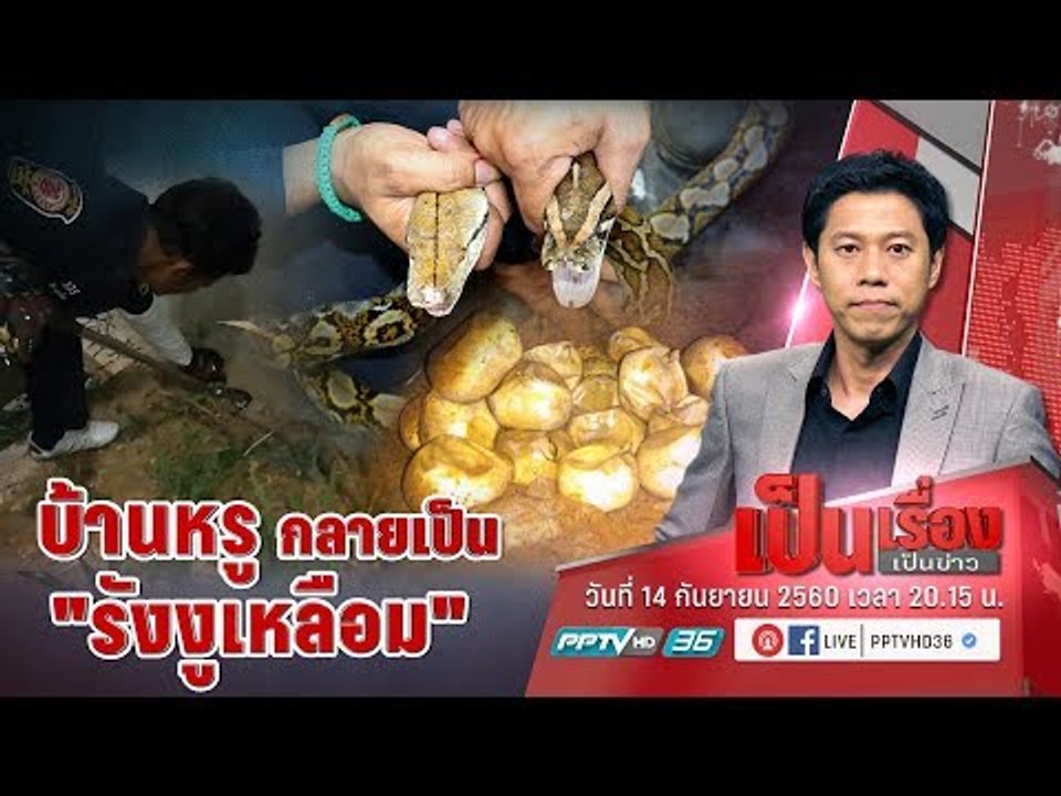 เป็นเรื่อง! ไขปริศนา “บ้านหรู” กลายเป็น “รังงูเ...