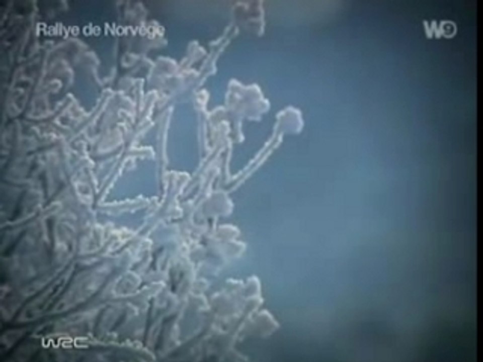 sebastien loeb champion du monde wrc 2007