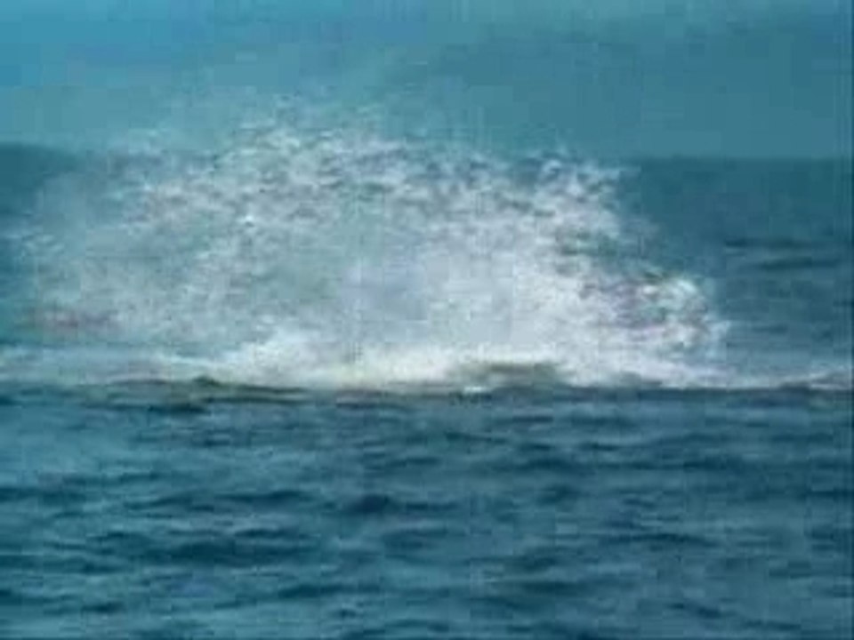 Vague portesienne sans BE