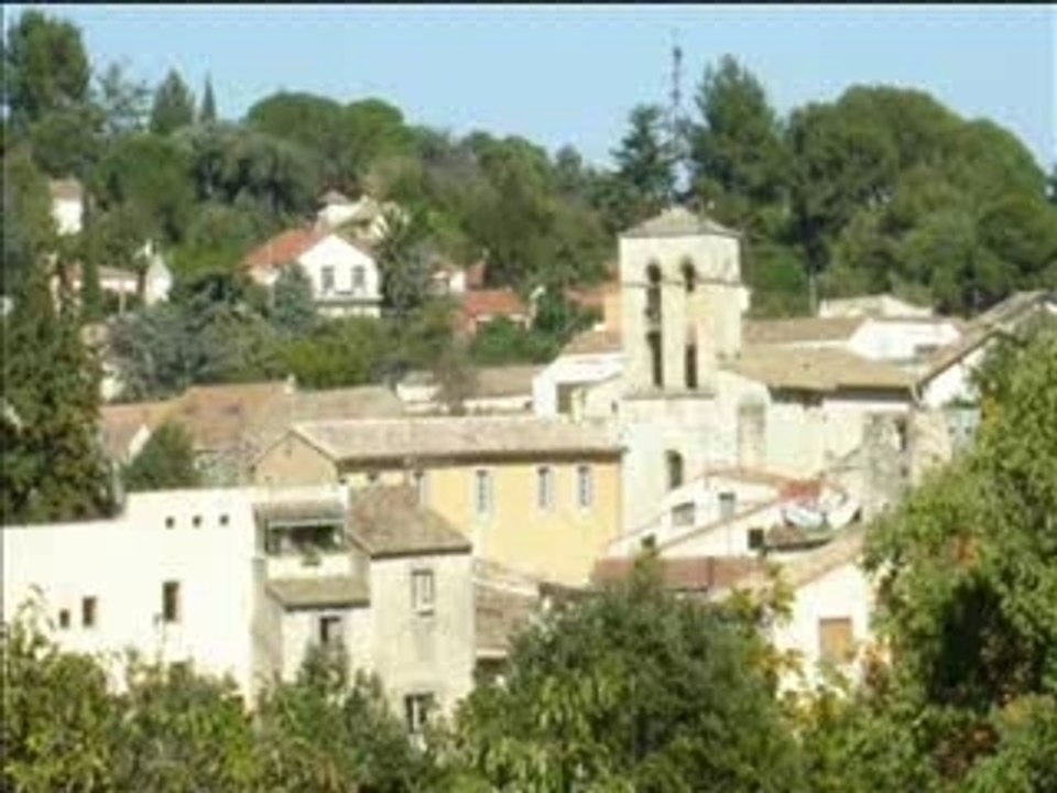 Jean-Pierre GRAND - Voeux 2008 - Castelnau-le-Lez