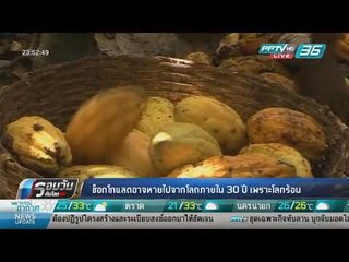 WORLD DIGEST: ช็อกโกแลตอาจหมดไปจากโลกภายใน 30 ปี เพราะโลกร้อน - รอบวันทันโลก