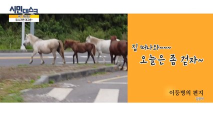 [11월 25일 시민데스크] 핫 제보영상 / YTN