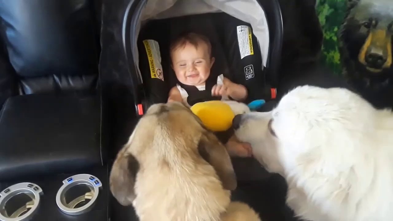 Most Adorable Pet and Baby Compilation Ever - Funny Pet Videos