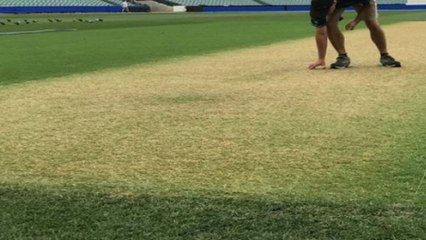 India vs Australia 2018,1st test : Why The Curator Promises To Leave Some Grass In The Adilaide