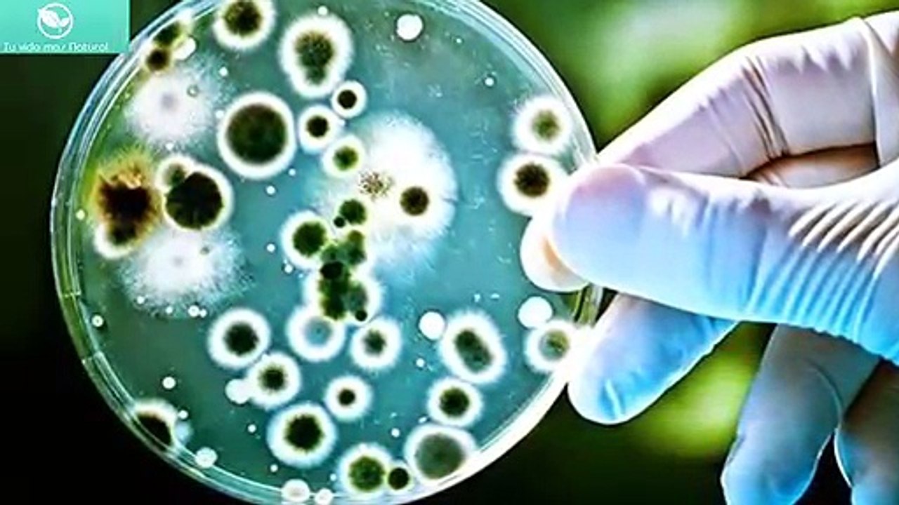 Funcionarios Americanos Dejaran de Financiar a Laboratorios