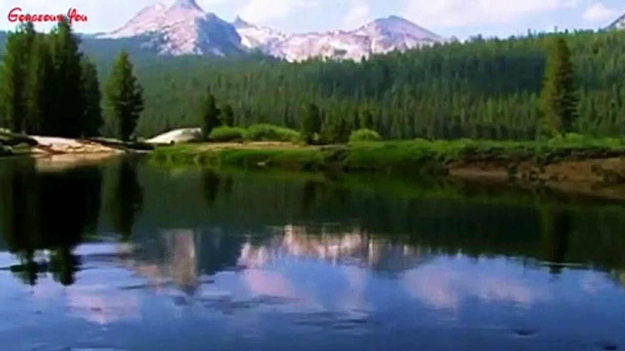 Beautiful Nature