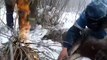 Des hommes se mobilisent pour sauver un cerf pris au piège dans un lac gelé