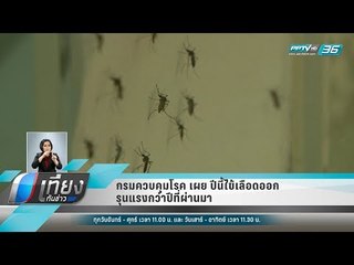 กรมควบคุมโรค เผย ปีนี้ไข้เลือดออกรุนแรงกว่าปีที่ผ่านมา - เที่ยงทันข่าว