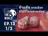 The World with KARUNA ตอน ทำแท้ง : สิทธิ์-ศีลธรรม-กฎหมาย (1/3)