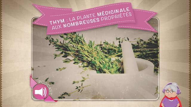Thym : la plante médicinale aux nombreuses propriétés