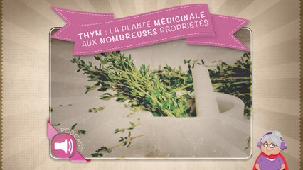 Thym : la plante médicinale aux nombreuses propriétés