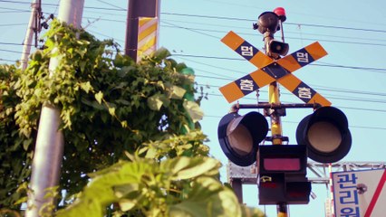 [Who's Next] Artist of December, Lim-HanByul(임한별)!