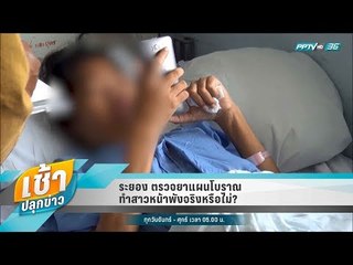 เช้าปลุกข่าว | สีสันทั่วไทย | 12 มิ.ย. 61 (2/2)