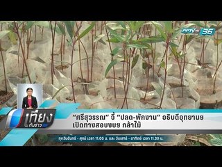 “ศรีสุวรรณ” จี้ “ปลด-พักงาน” อธิบดีอุทยานฯ เปิดทางสอบงบฯ กล้าไม้ - เที่ยงทันข่าว