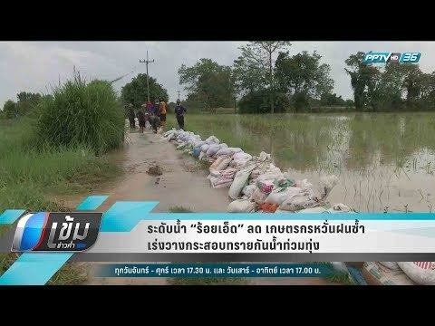ระดับน้ำ “ร้อยเอ็ด” ลด เกษตรกรหวั่นฝนซ้ำ เร่งวางกระสอบทรายกันน้ำท่วมทุ่ง - เข้มข่าวค่ำ