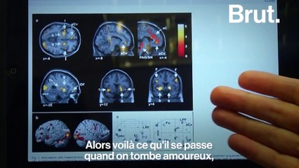 Le coup de foudre, expliqué par la science