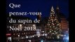 Marché de Noël de Strasbourg : Le grand sapin