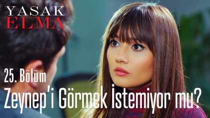 Alihan, Zeynep'i görmek istemiyor mu? - Yasak Elma 25. Bölüm