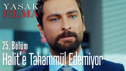 Alihan, Halit'e tahammül edemiyor - Yasak Elma 25. Bölüm