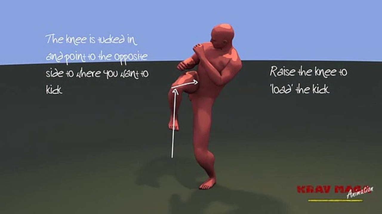 Kicks|Self Defense|Zero.com