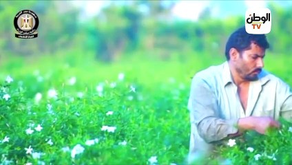 الوزراء يرصد قصص نجاح طلاب جامعة مصرية في الفوز بـ إيناكتس