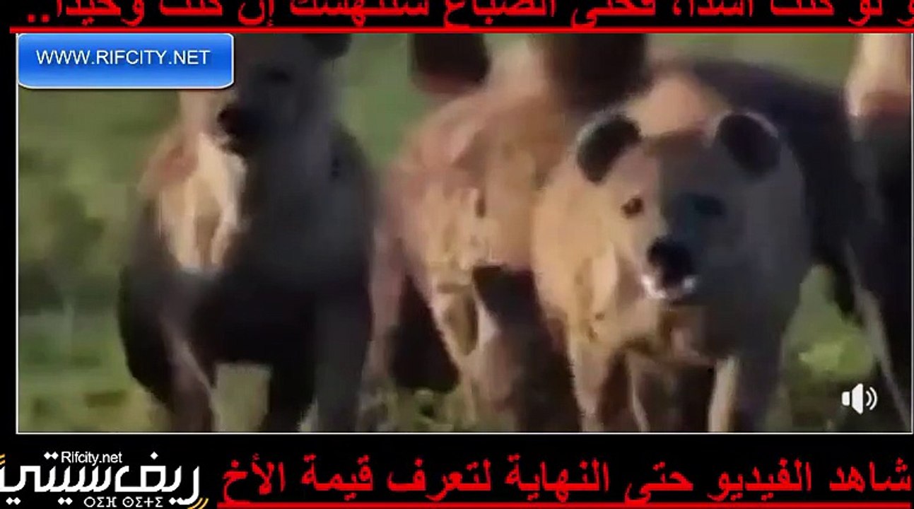 مقال رقم4568