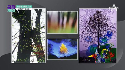 오늘의 주인공 국민MC 이상벽! 사진작가로 변신한 그! 이상벽이 방송을 쉬게 된 사연은?