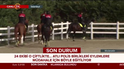 Atlı birlikler böyle eğitiliyor