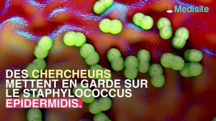 Une bacterie sur la peau responsable d'infections post-operatoires