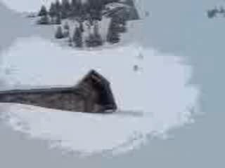 saut a ski