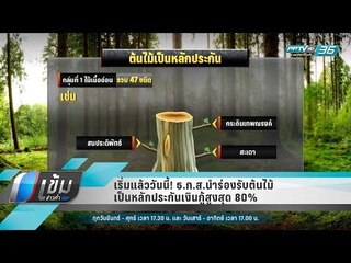 เริ่มแล้ววันนี้! ธ.ก.ส.นำร่องรับต้นไม้เป็นหลักประกันเงินกู้สูงสุด 80% - เข้มข่าวค่ำ