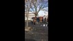 Gilets jaunes: Des centaines de lycéens manifestent à Toulouse - De nombreuses dégradations