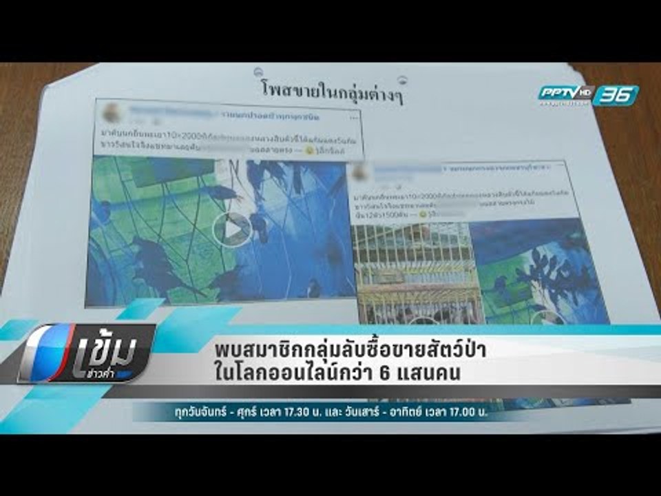 พบสมาชิกกลุ่มลับซื้อขายสัตว์ป่าในโลกออนไลน์กว่า 6 แสนคน - เข้มข่าวค่ำ