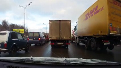 Colapso ovejuno: atasco en Moscú provocado por... una oveja